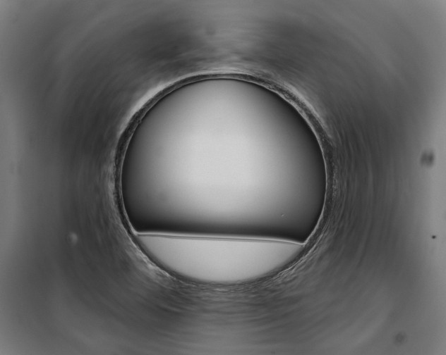 X0000100871460200806200851