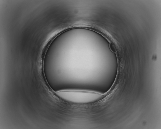 X0000100871461200806200851