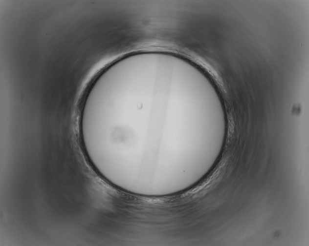 X0000100871462200806200851