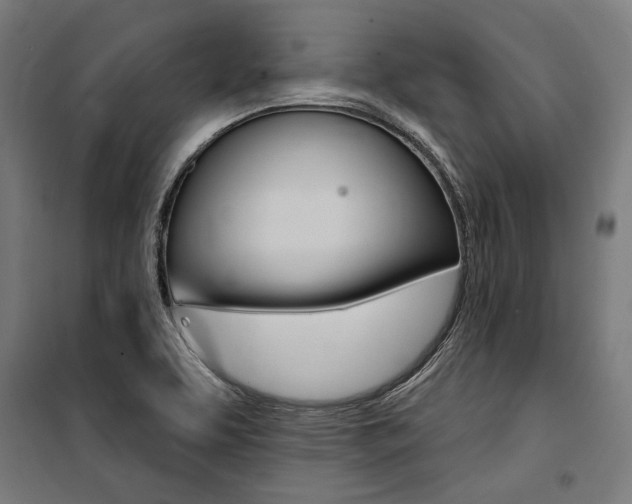 X0000100871463200806200851
