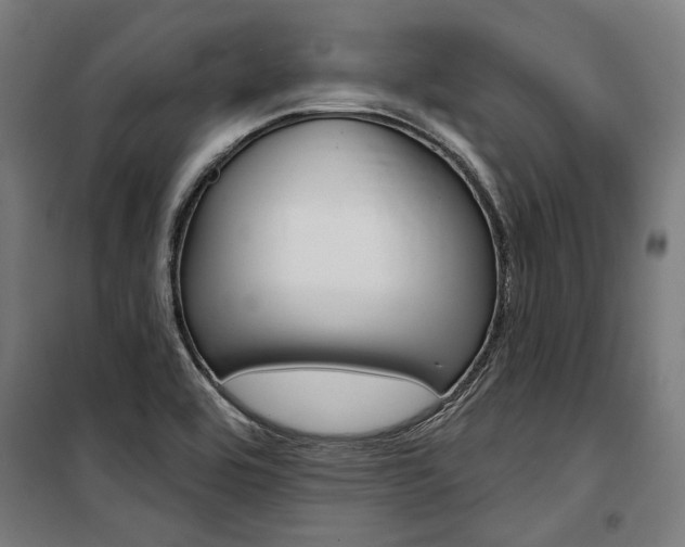 X0000100871464200806200851