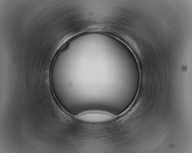 X0000100871465200806200851