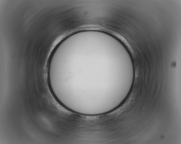 X0000100871466200806200851