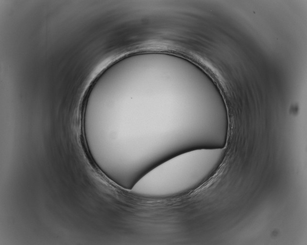 X0000100871467200806200851