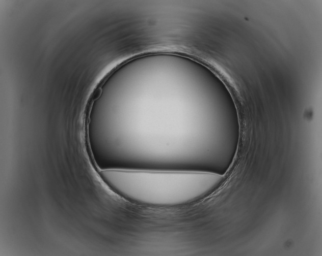 X0000100871468200806200851