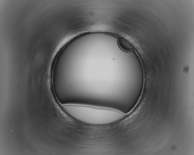 X0000100871469200806200851