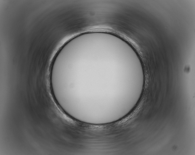 X0000100871470200806200851