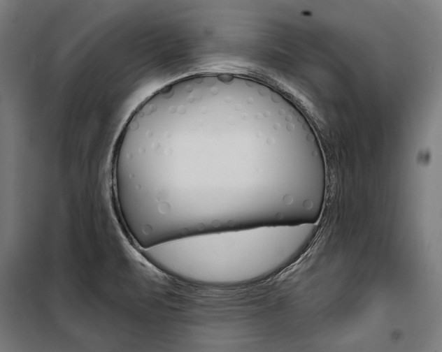 X0000100871471200806200851