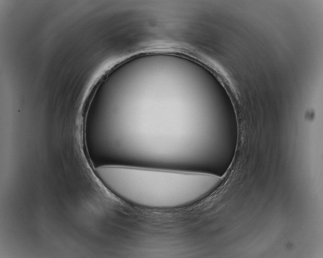 X0000100871472200806200851