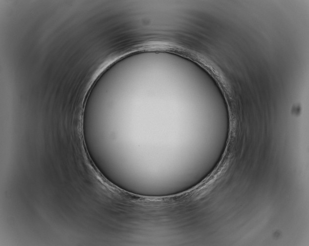 X0000100871473200806200851