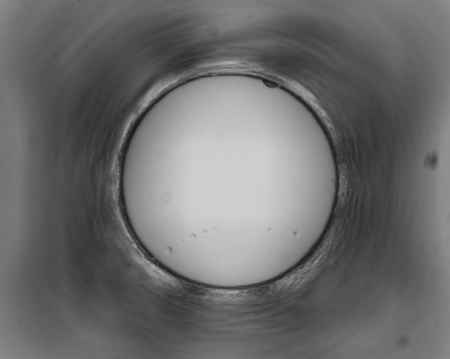 X0000100871474200806200851