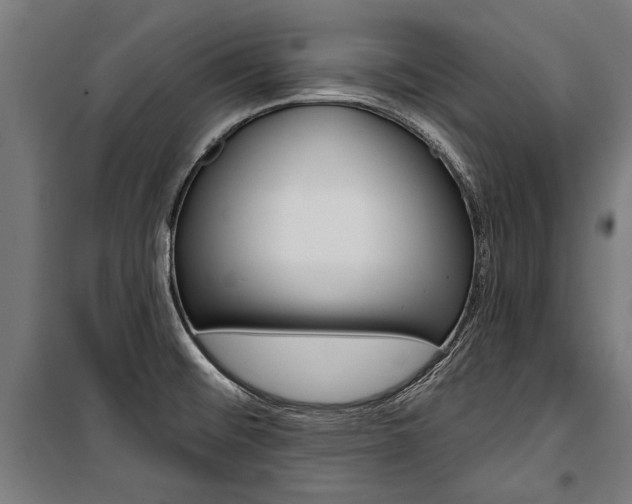 X0000100871476200806200850
