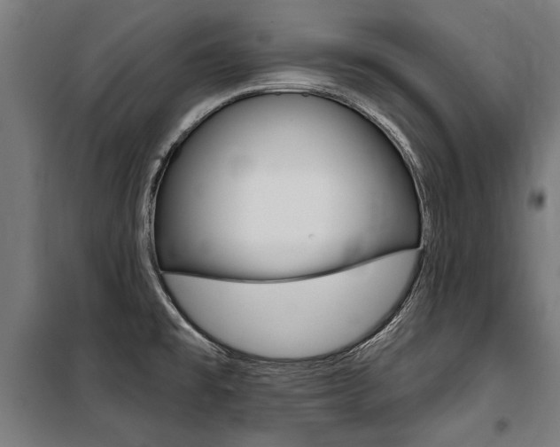 X0000100871477200806200850