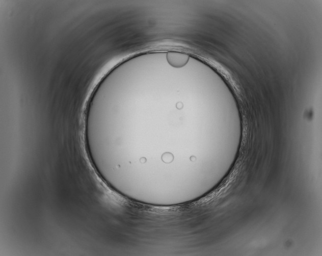 X0000100871478200806200850