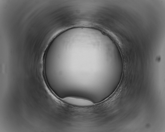 X0000100871479200806200850