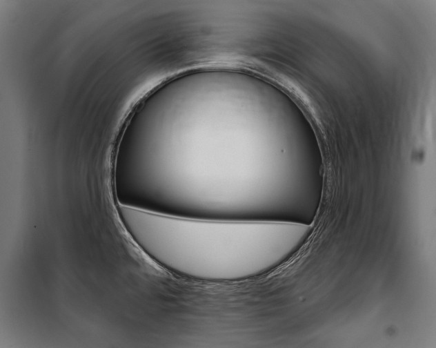 X0000100871480200806200850