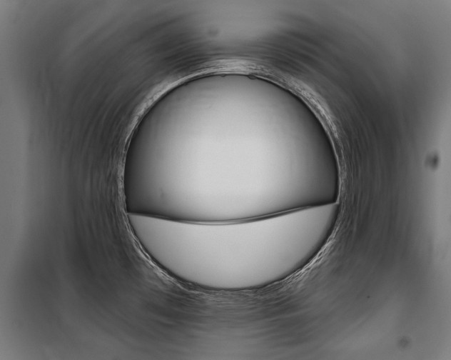 X0000100871481200806200850