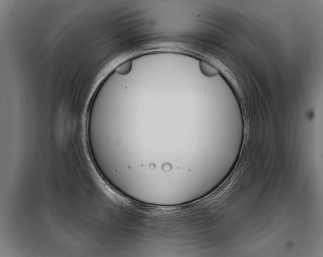 X0000100871482200806200850