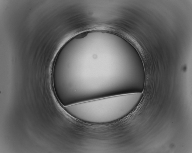 X0000100871483200806200850