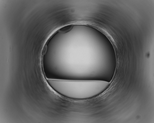 X0000100871484200806200850