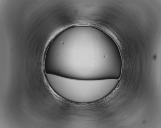 X0000100871485200806200850