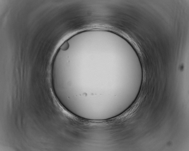 X0000100871486200806200850