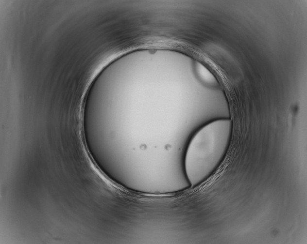 X0000100871487200806200850