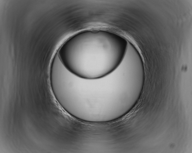 X0000100871488200806200850