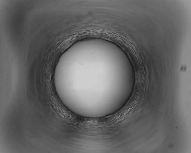 X0000100871489200806200849