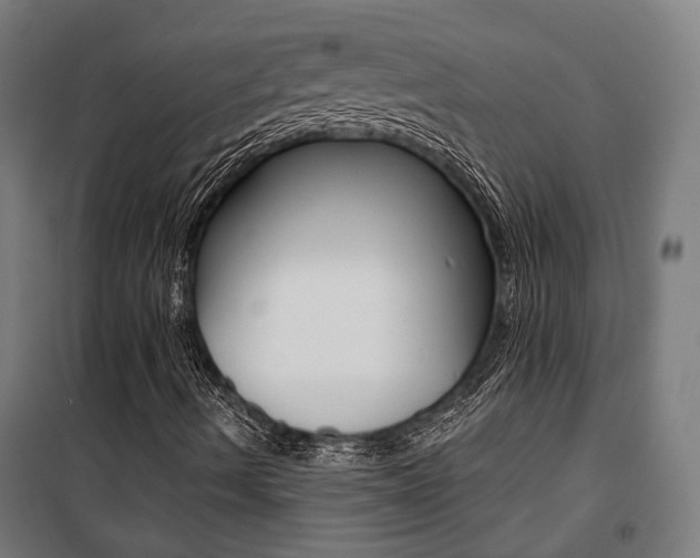 X0000100871490200806200849