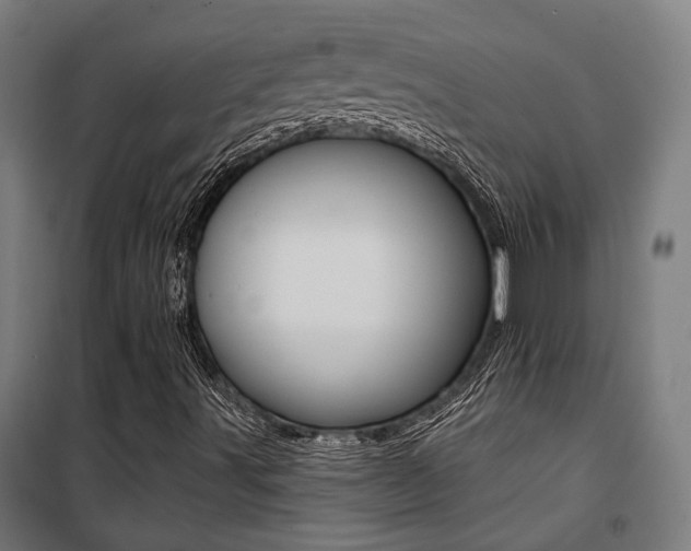 X0000100871491200806200850