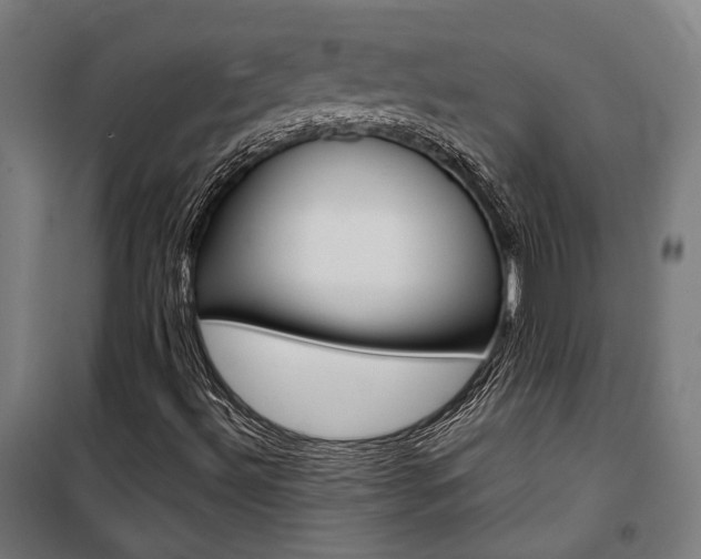 X0000100871492200806200850