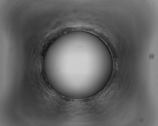 X0000100871493200806200850