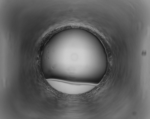 X0000100871495200806200850
