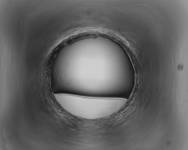X0000100871496200806200850