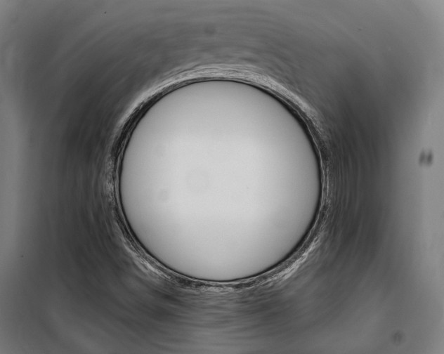 X0000100871498200806200850