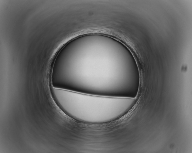 X0000100871500200806200850