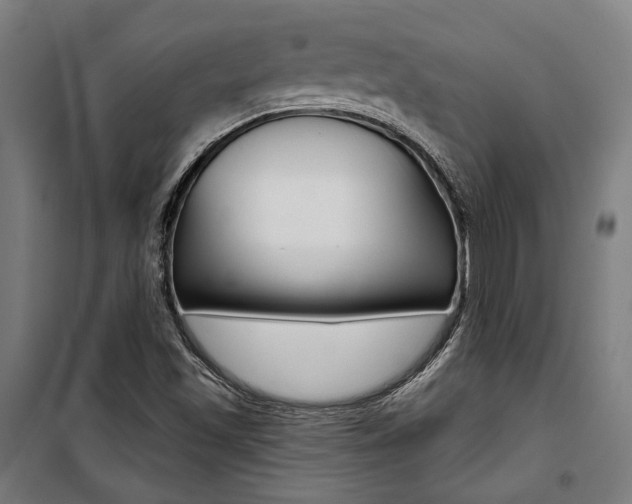 X0000100871501200806200850
