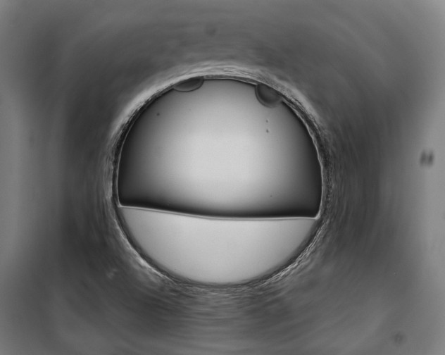 X0000100871504200806200850