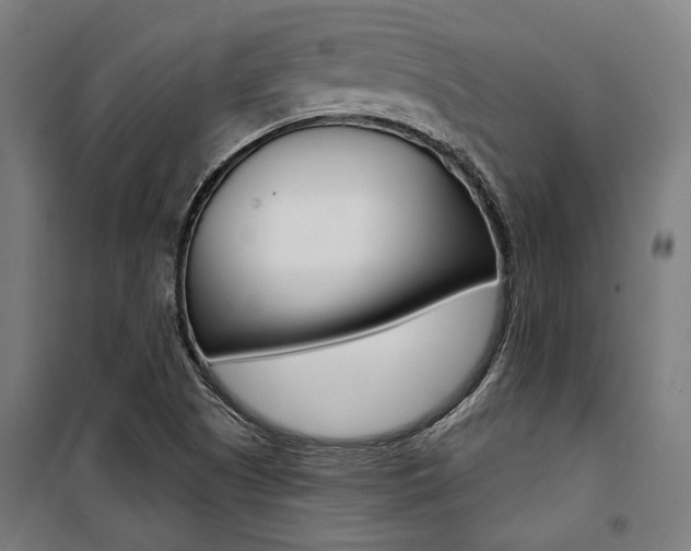 X0000100871505200806200850