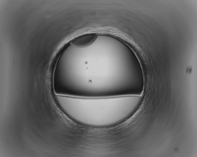 X0000100871506200806200850