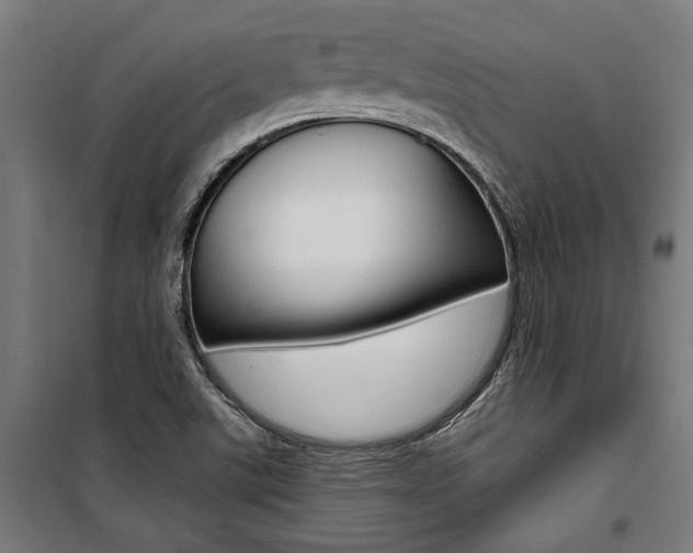 X0000100871507200806200850