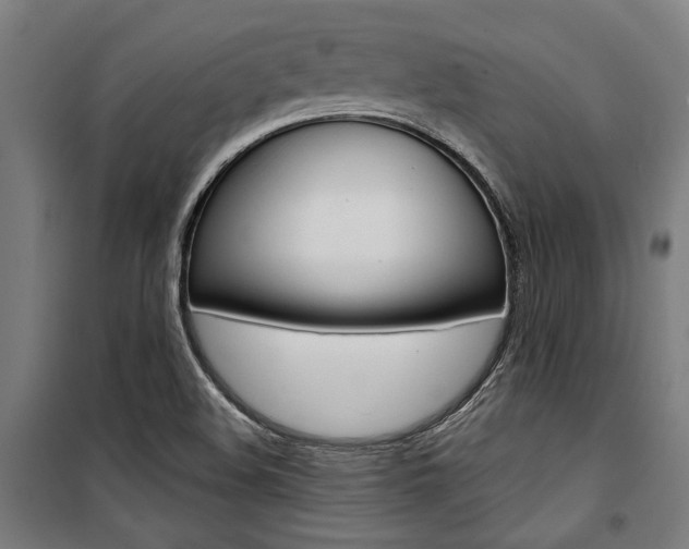 X0000100871508200806200850