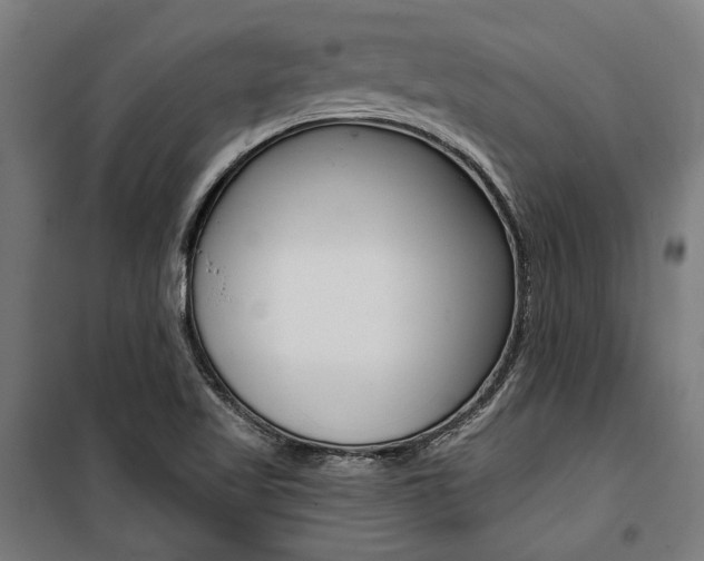 X0000100871509200806200850