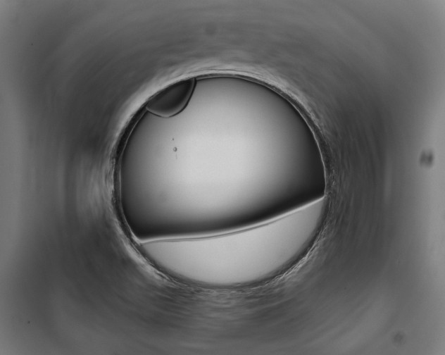 X0000100871511200806200850