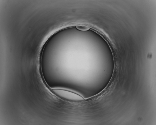 X0000100871512200806200850