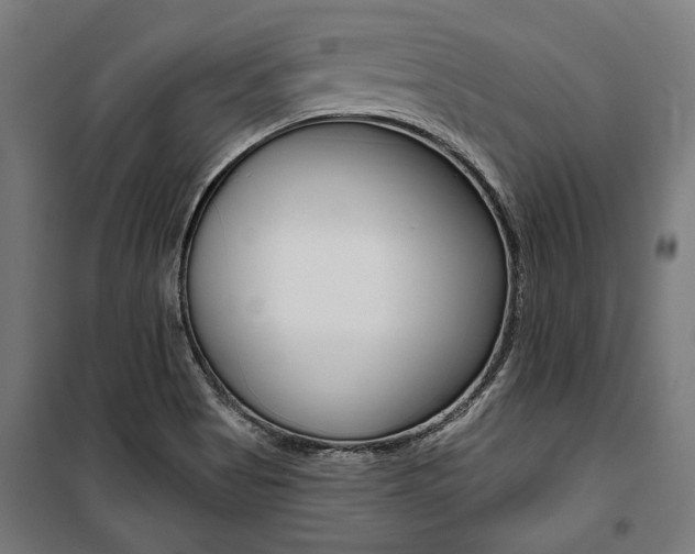 X0000100871513200806200850