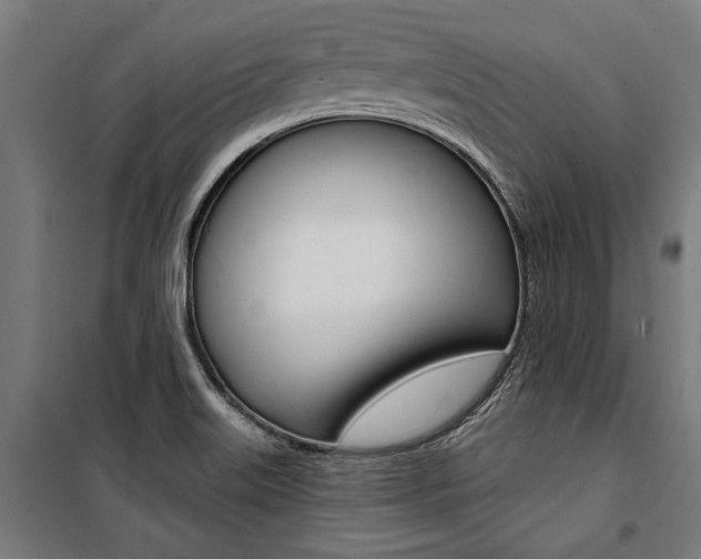 X0000100871515200806200850