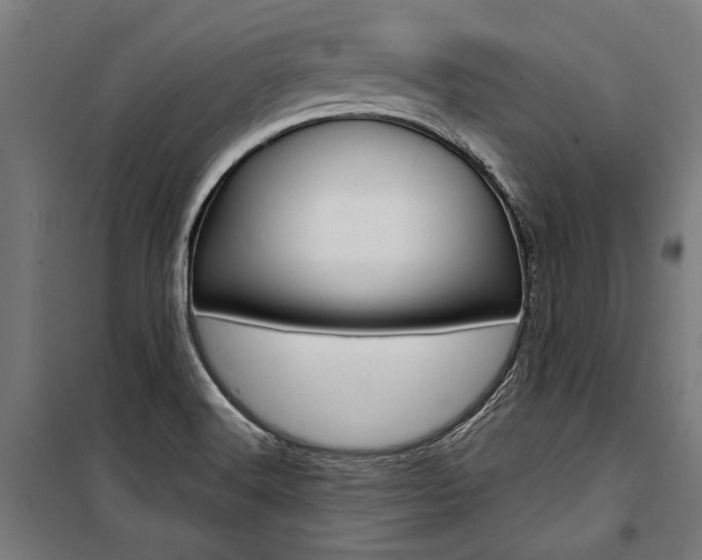 X0000100871516200806200850