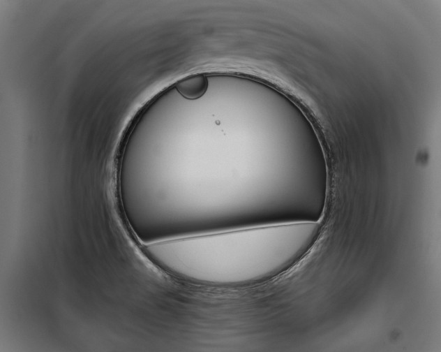 X0000100871517200806200850